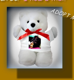CAPTAIN BOOTIE TEDDY BEAR 4 CHARITY