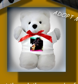 CAPTAIN BOOTIE TEDDY BEAR 4 CHARITY