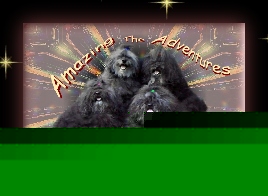 AMAZING ADVENTURES VIRTUAL BOOK PREVIEW