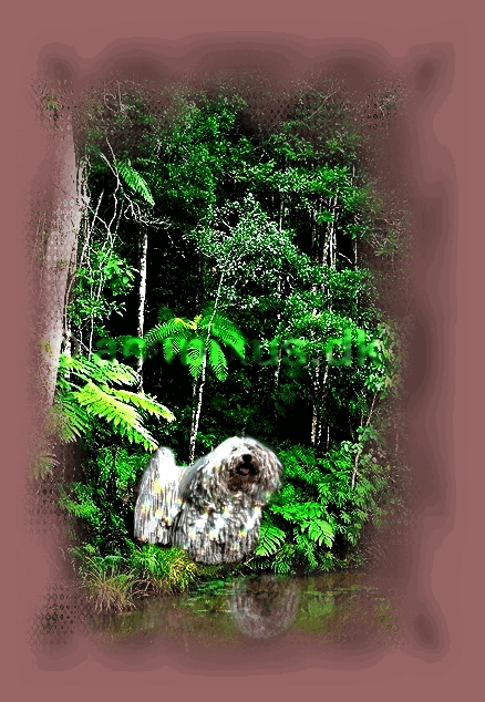 COMMANDER BABY GIRL IN THE AMAZON COMMANDER BABY GIRL IN THE AMAZON