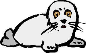 BABY SEAL
