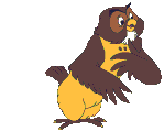 OWLIE THE OWL