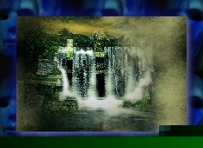 AMAZON JUNGLE