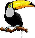 TUCAN