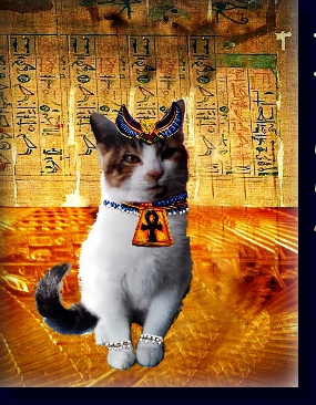 BAST CAT GODDESS OF EGYPT