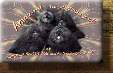 AMAZING ADVENTURES BOOK LINK