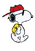 IMDIANA SNOOP