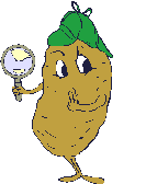POTATO DETECTIVE