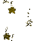 FALLING STARS
