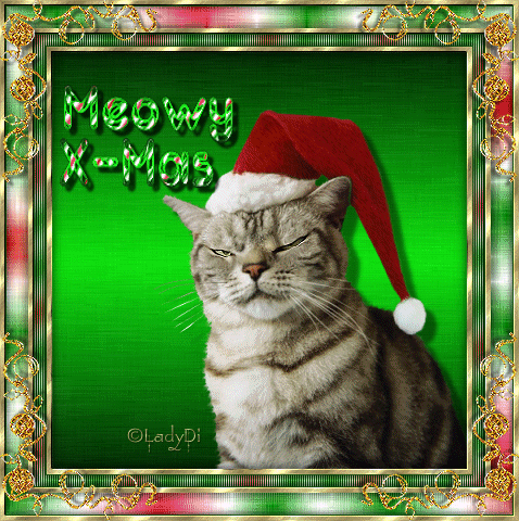 MEOWY X-MAS