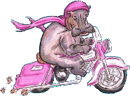 BIG BERTHA HIPPO