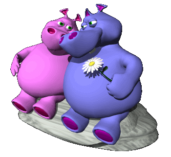 HIPPO LOVE
