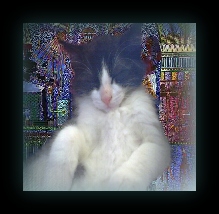 COMMANDER ZORRO AT THE TEMPLE OF BAST RELAXING