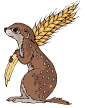 MOUSE WITH GRAIN