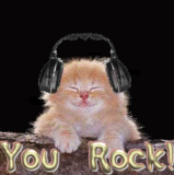 CAT WITH HEAD PHONES LISTEING TO BOOK PREVIEW