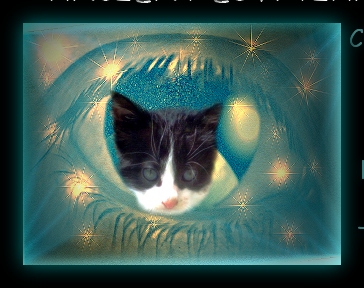 COMMANDER ZORRO AND THE EYE OF RA