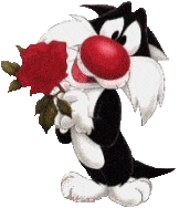 COMMANDER ZORRO WITH ROSE