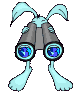 BUNNY WITH BINOCULARS