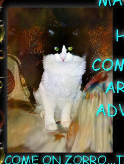 COMMANDER ZORRO ABOARD THE MAGIC TIME MACHINE UPW BUTTERBYE