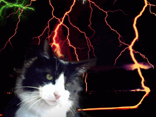 COMMANDER ZORRO LIGHTING THE WAY