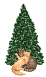 CHRISTMAS TREE AND CATS