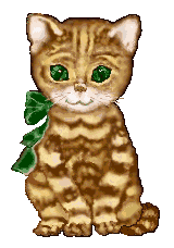 CHRISTMAS KITTEN