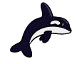 WHALE JUMPING