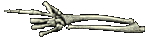 SKELETON ARM