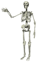 WAVING SKELETON CREW