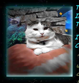 COmmander Sir Snowy