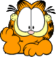 GARFIELD