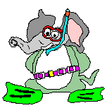 ELEPHANT BELOW