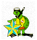 DODGY FISH TURTLE