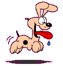 ODIE