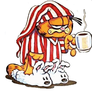 GARFIELD WITH HIS BUNNY SLIPPERS