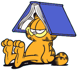 GARFIELD WITH BOOK ON HEAD