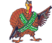 CLANCY THE GUARD TURKEY