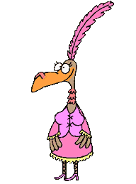 HILDA THE TURKEY