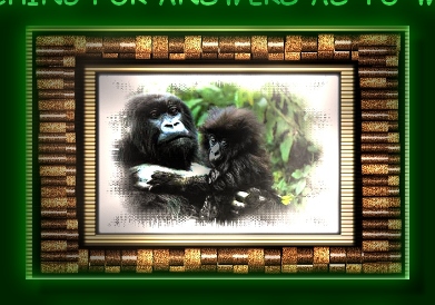 MOUNTAIN GORILLA MOTHER AND BABY