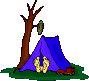 CAMPING OUT IN THE WILD